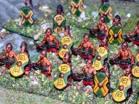 Nikon2266  Hittie and Assyrian armies of 15mm Essex miniature wargames figures : Wargames